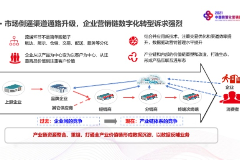 康盛创想，引领数字营销新时代的创新实践