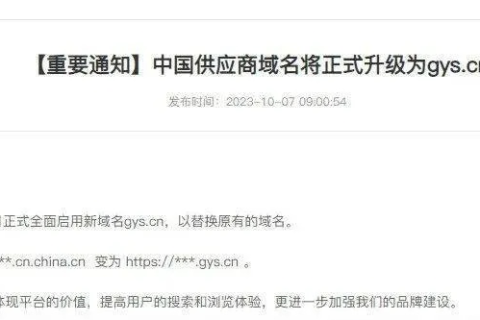 中国能否使用.sh域名的深度解析