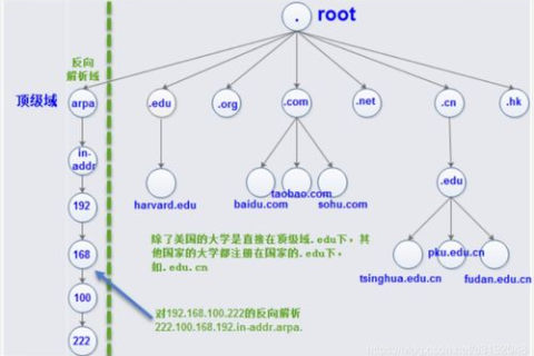 顶级域名就是一级域名吗？解析域名层级与互联网架构