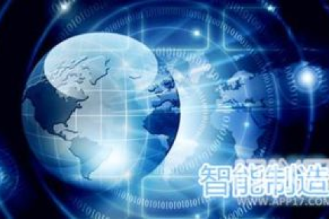 金豹网络的崛起之路，创新科技引领数字化浪潮的新篇章