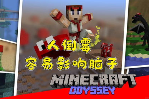 无限网的奇妙世界，探索未来无限可能的网络技术