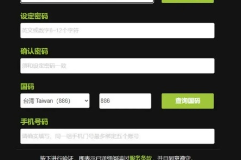 域名申请成功后的下一步操作指南，从注册到网站上线