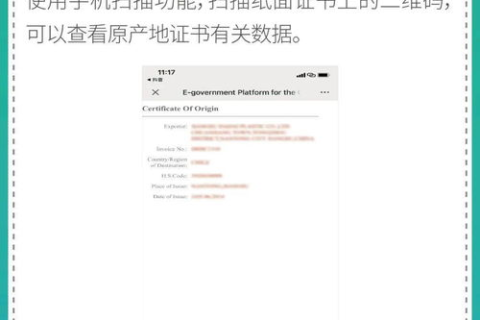 WordPress域名在中国使用的全面指南