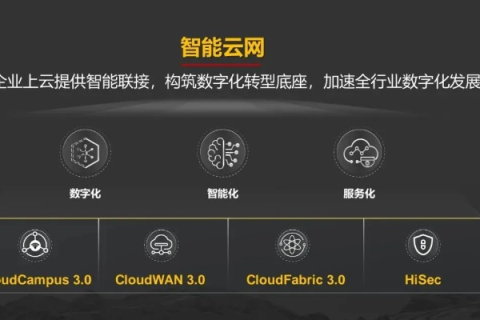 云志网络，崛起的数字生态先锋
