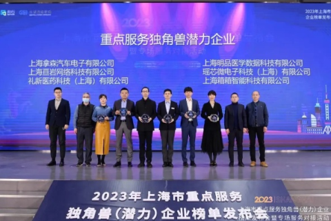 上海铭瑞网络，解析行业黑马的创新举措与发展潜力