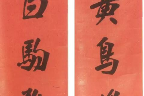 河北网跃科技的崛起之路，科技引领未来，创新铸就辉煌
