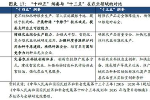 全面聚焦，纬兴网络的实力、优势与未来展望