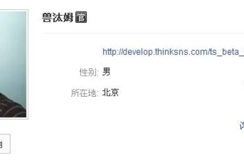 百度空间个性域名设置全攻略，打造专属网络名片
