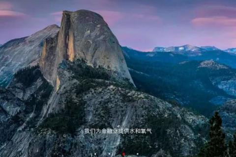 为什么今天51进不去啊总是显示域名错误？