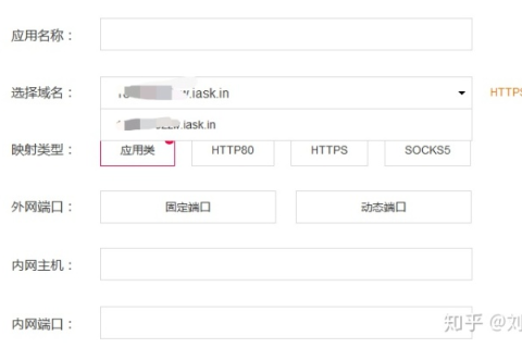 花生壳域名解析与端口映射的实战指南，为何外网访问仍受阻？