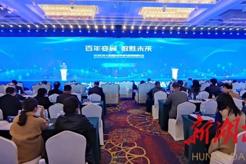 邵阳网络科技，引领科技创新，塑造数字未来