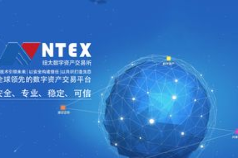 鼎点网络，打造数字时代的桥梁，引领互联网创新未来