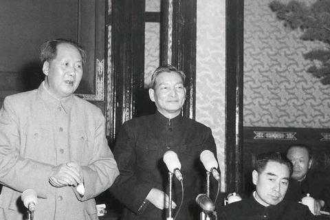 大数据视角下的群众参与，洞察、挑战与未来趋势
