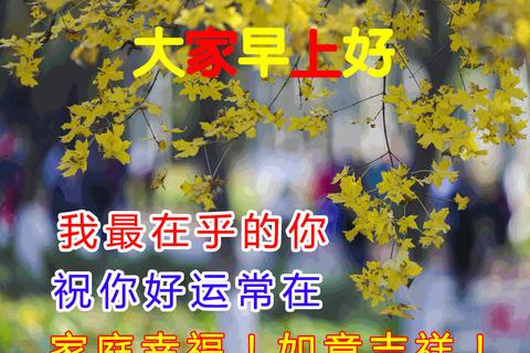 飞翔网络，打造数字世界的强力双翼
