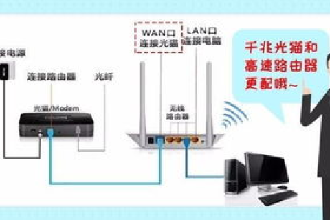 探索稳定吗与大陆的区别，域名选择、速度考量与机房优选