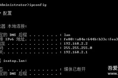 域名、虚拟主机与FTP上传，打造个人或企业网站的完整指南