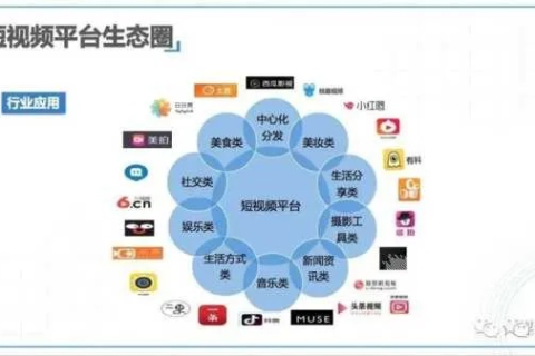 奇浪网，打造个性化视频新体验，引领互联网娱乐新风尚