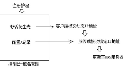 花生壳动态域名设置详解