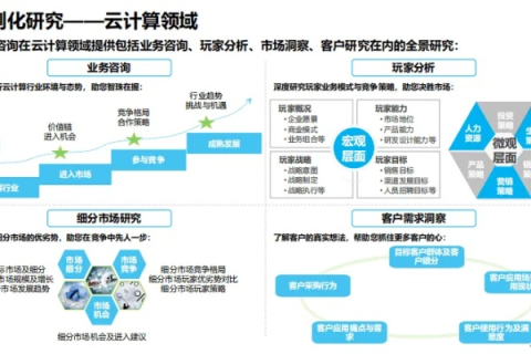 深度剖析，虚机分销网的市场策略、用户体验与未来发展前景