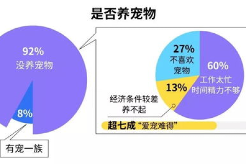 从租客角度看，网络覆盖与体验的全面解析