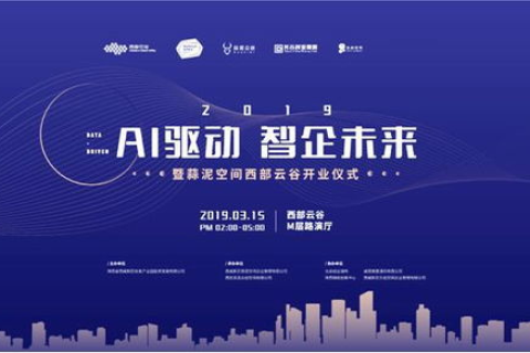 探寻中国万维网的蜕变与未来，创新、挑战与全球化视野