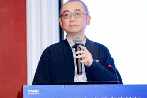 中国互联网络信息中心（CNNIC）在顶级域名管理与维护中的核心角色