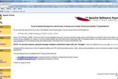 Apache Tomcat 实现单 IP 多域名访问
