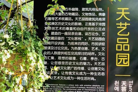 天艺科技，艺术与科技的完美融合，创意引领未来
