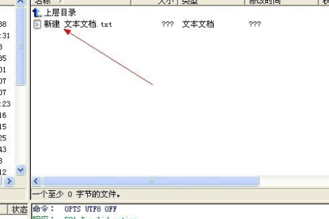 在Ucoz申请域名和空间后，用FTP上传网页的详细指南