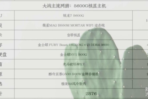 大叔主机，性能、价格与用户体验的全面剖析