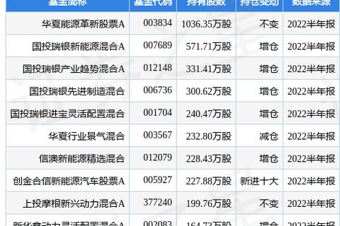 永兴数据，以技术革新引领大数据时代潮流