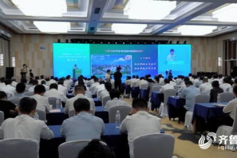 彦成互联，透视一家科技公司的全方位服务与创新实践