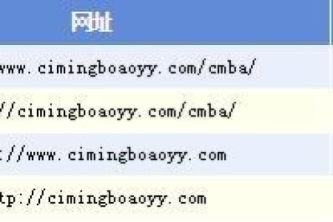 我申请了一个cn域名，但加上www后无法访问网站，原因何在？