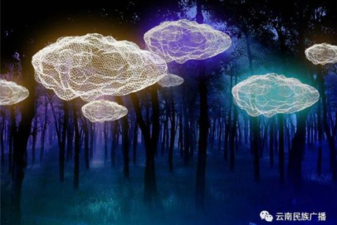 青彩云，绘就多彩生活的数字艺术平台