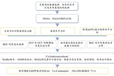 E海数据，挖掘数据潜能，驱动智慧决策