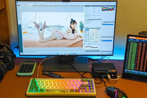 网页吧主机使用体验，性能、价格与实际应用的综合评测