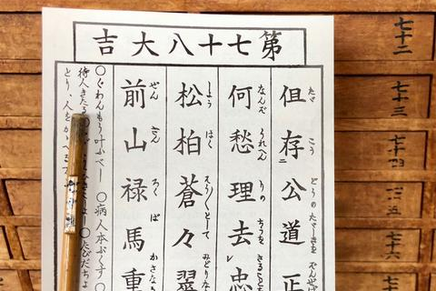 世通网络科技，技术创新引领未来数字生活