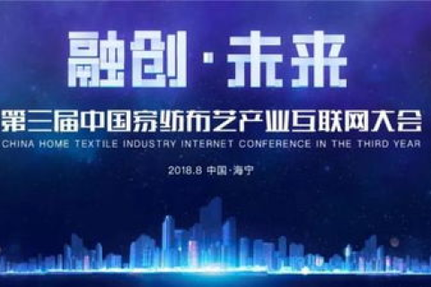 天宇网络的崛起与变革之路，一场技术与人本融合的互联网盛宴