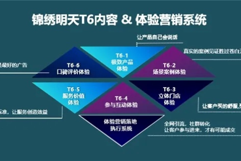 广州天际网络，打造高品质信息技术服务的引领者