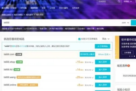 CN域名能直接放到国外空间使用吗？