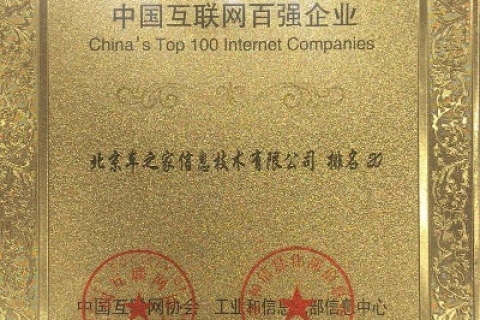 中国顶网—探寻互联网权威平台的精髓