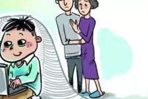 得易网络，深度解析与全面评估