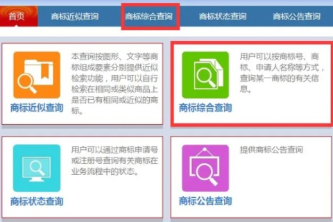 如何查询域名注册信息，全面指南
