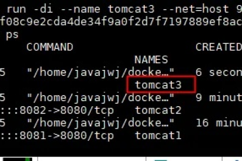 探索3E Host:深入理解其优势与潜力