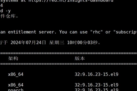 实现域名解析的命令，深入解析DNS查询与配置