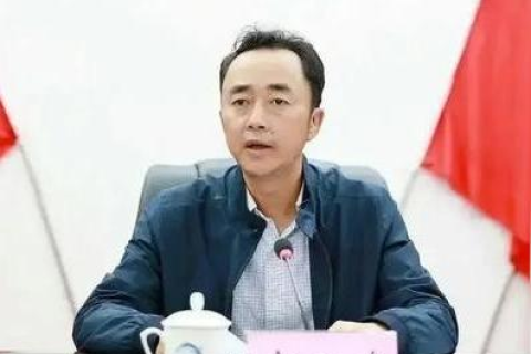 四海互联，构建全球化的信息桥梁，探索数字时代的机遇与挑战