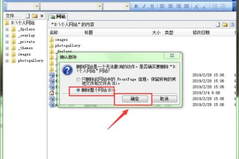 用Frontpage制作的网页能否上传至申请到的域名？解析域名用途与网页发布流程