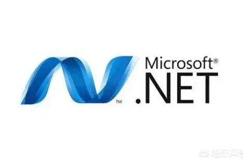 请问.NET在域名中有什么前景？