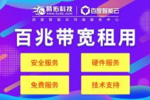 服务器托管租用，大带宽联通与电信的选择之道
