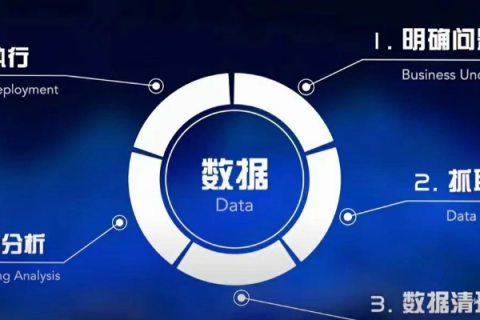 雪狼数据，解析其在大数据时代的崛起与影响